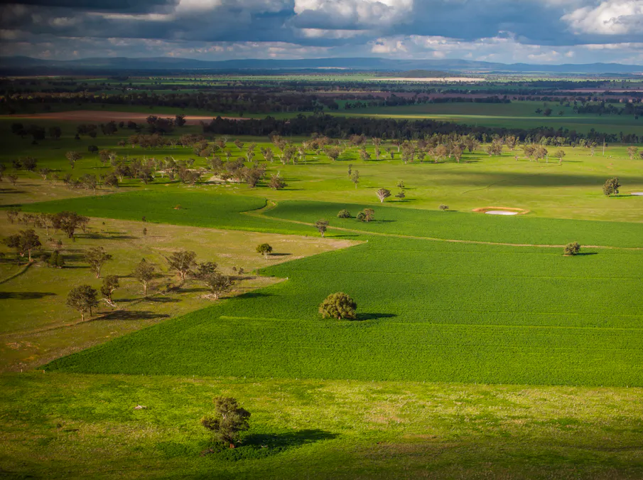 'Rockvale' 3166 Back Trundle Road, Cooks Myalls, NSW, 2870 - Image 8