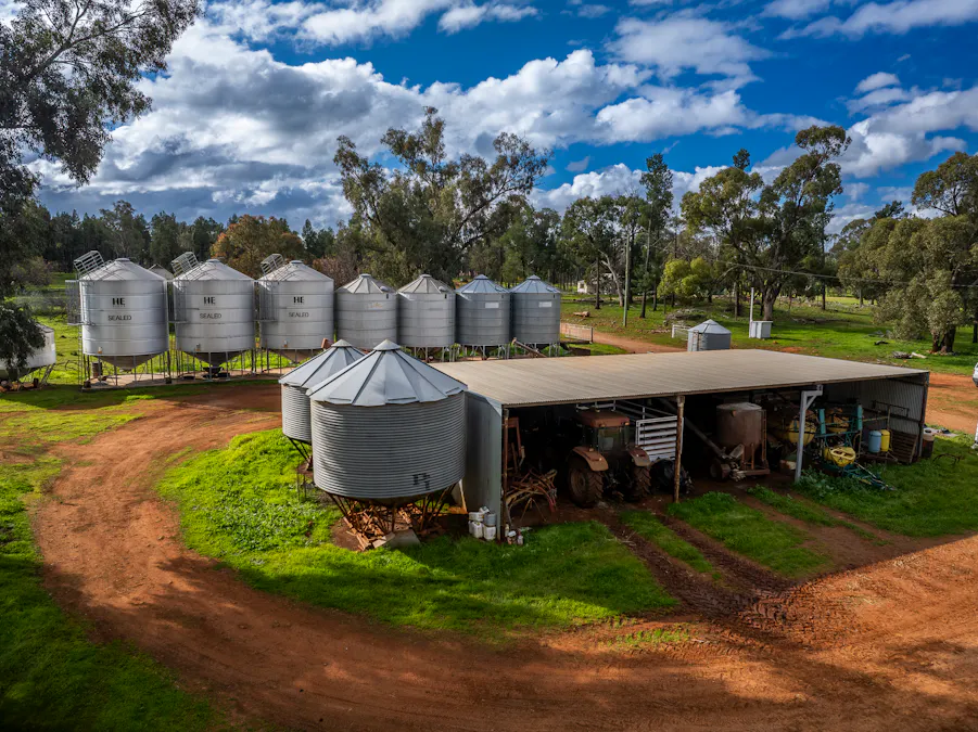 'Rockvale' 3166 Back Trundle Road, Cooks Myalls, NSW, 2870 - Image 9