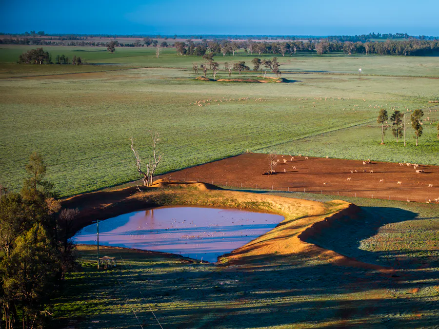 'Rockvale' 3166 Back Trundle Road, Cooks Myalls, NSW, 2870 - Image 12