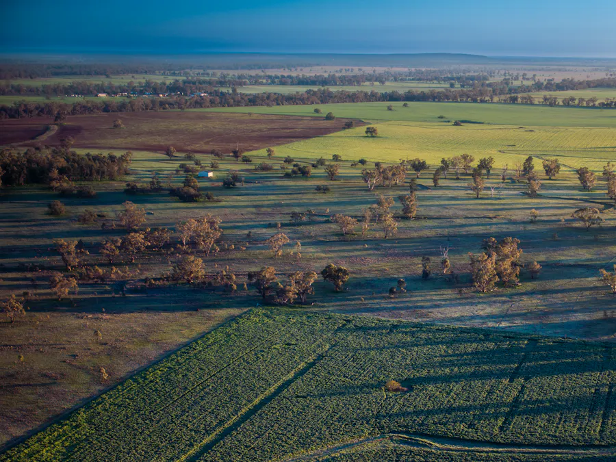 'Rockvale' 3166 Back Trundle Road, Cooks Myalls, NSW, 2870 - Image 13