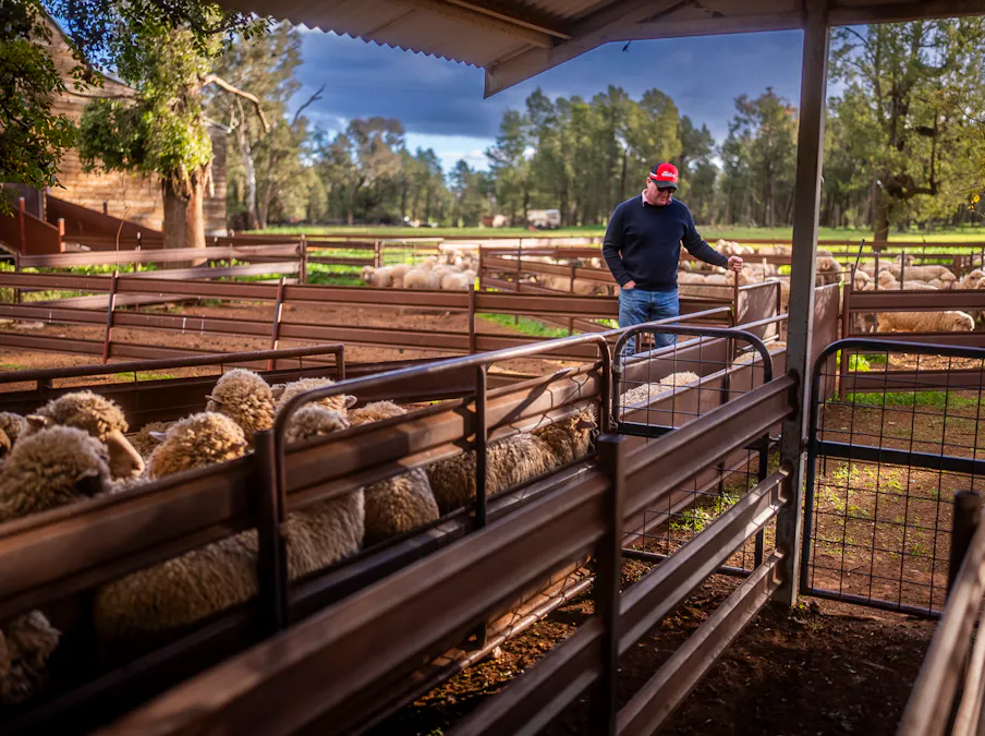 'Rockvale' 3166 Back Trundle Road, Cooks Myalls, NSW, 2870 - Image 14
