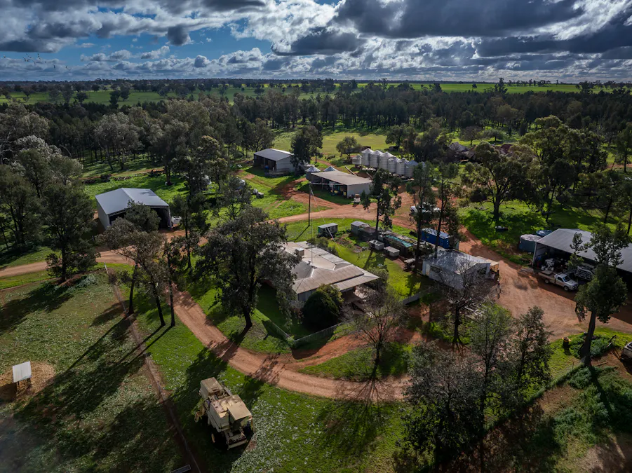 'Rockvale' 3166 Back Trundle Road, Cooks Myalls, NSW, 2870 - Image 17