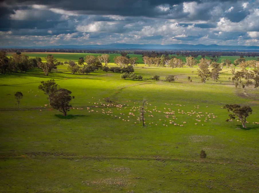 'Rockvale' 3166 Back Trundle Road, Cooks Myalls, NSW, 2870 - Image 23
