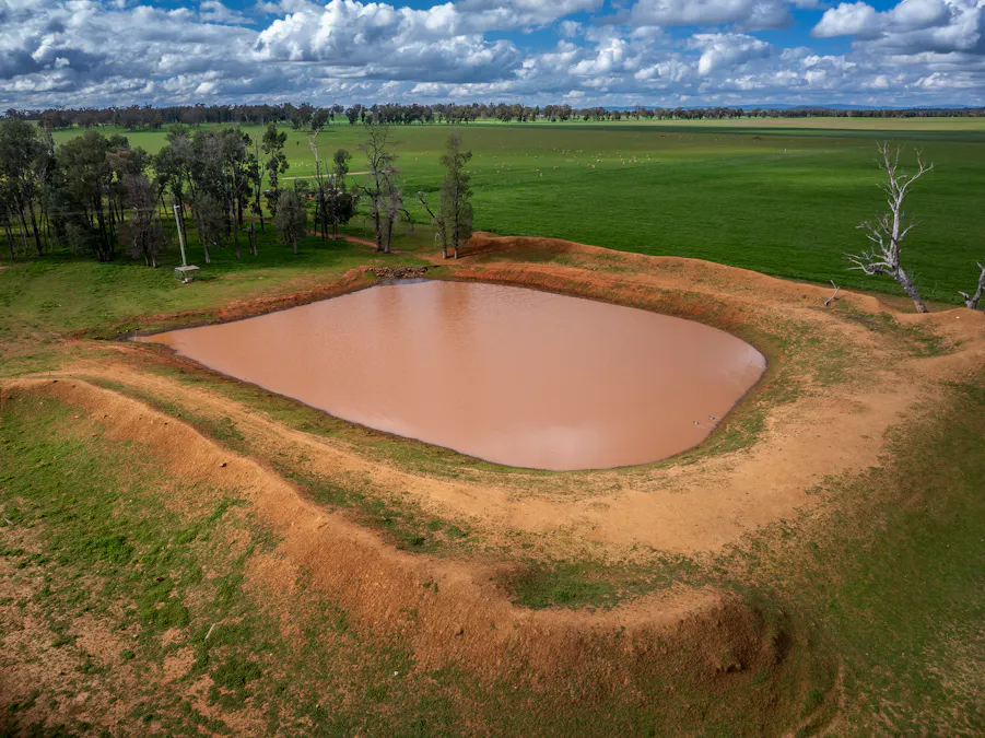 'Rockvale' 3166 Back Trundle Road, Cooks Myalls, NSW, 2870 - Image 24