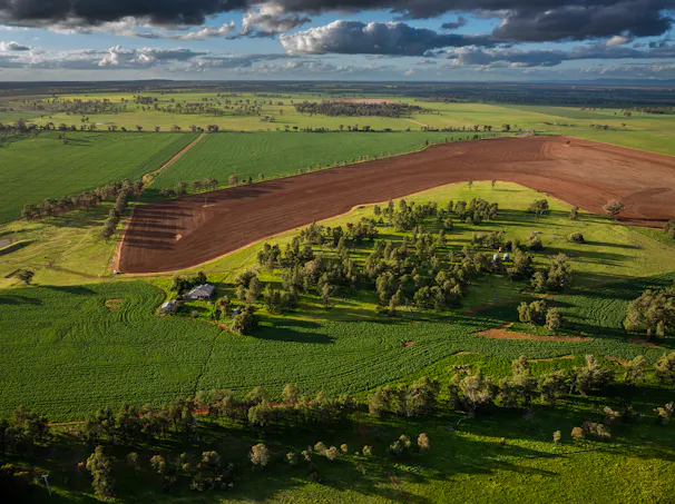 'Whitefield' 3235 Back Trundle Road, Cooks Myalls, NSW, 2870