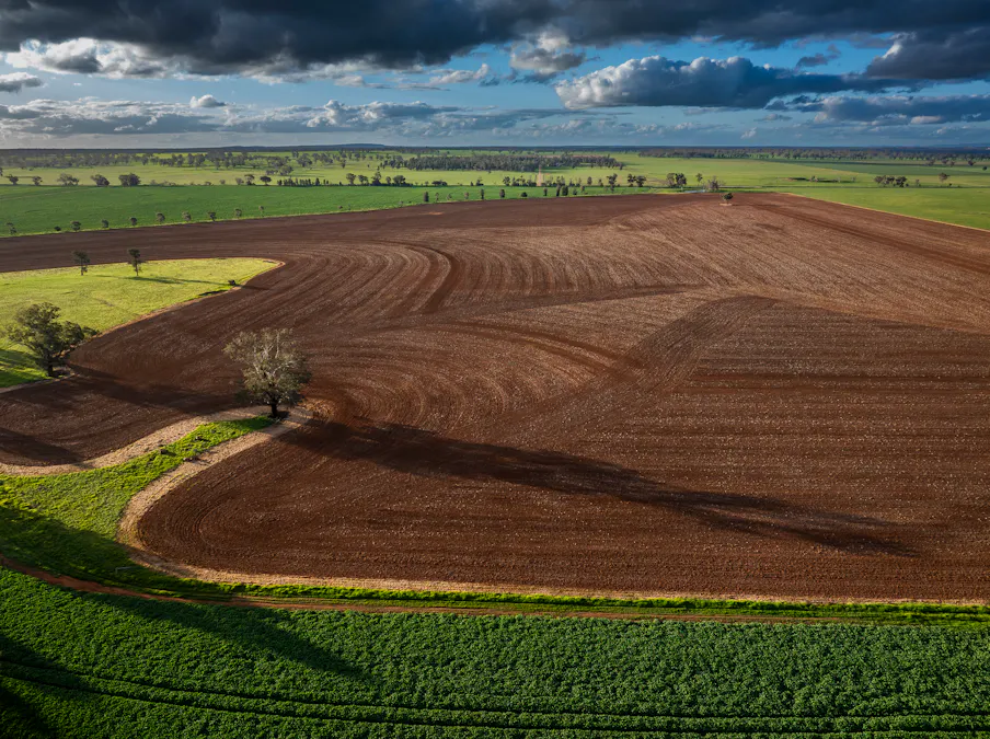 'Whitefield' 3235 Back Trundle Road, Cooks Myalls, NSW, 2870 - Image 2