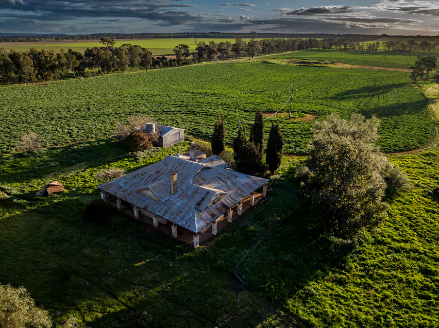 'Whitefield' 3235 Back Trundle Road, Cooks Myalls, NSW, 2870 - Image 7