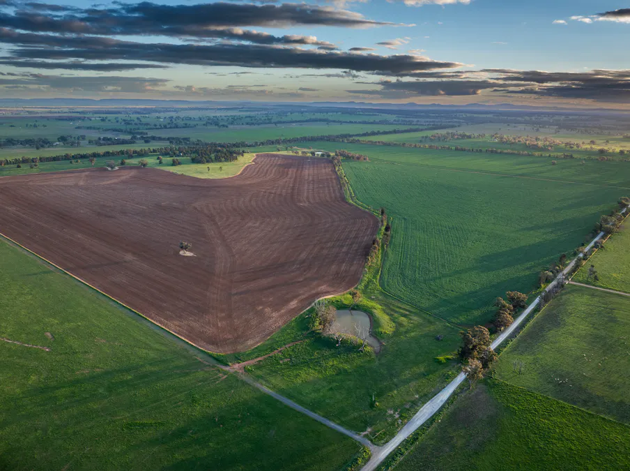 'Whitefield' 3235 Back Trundle Road, Cooks Myalls, NSW, 2870 - Image 10