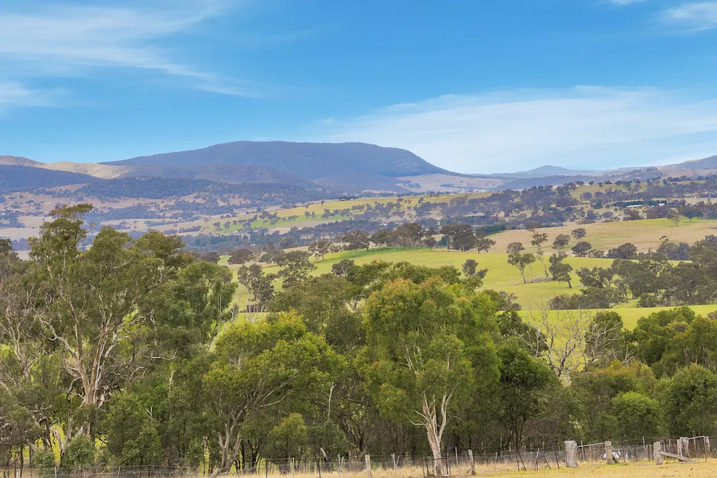 390 Bloom Hill Road, O'connell, NSW, 2795 - Image 25