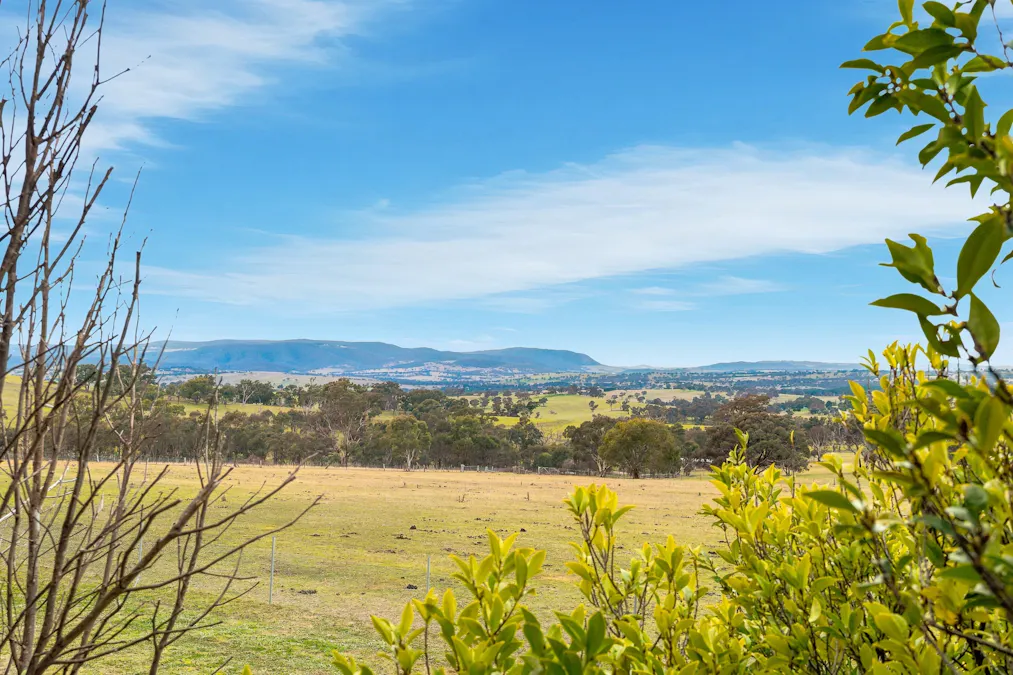 390 Bloom Hill Road, O'connell, NSW, 2795 - Image 15