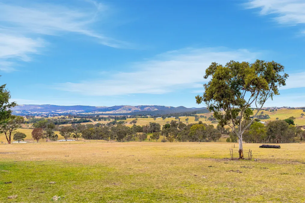 390 Bloom Hill Road, O'connell, NSW, 2795 - Image 23
