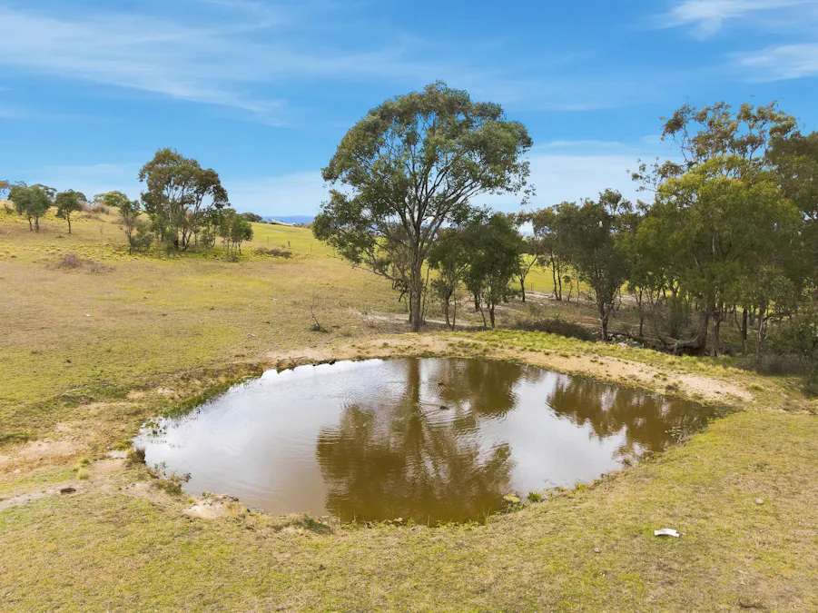 390 Bloom Hill Road, O'connell, NSW, 2795 - Image 21