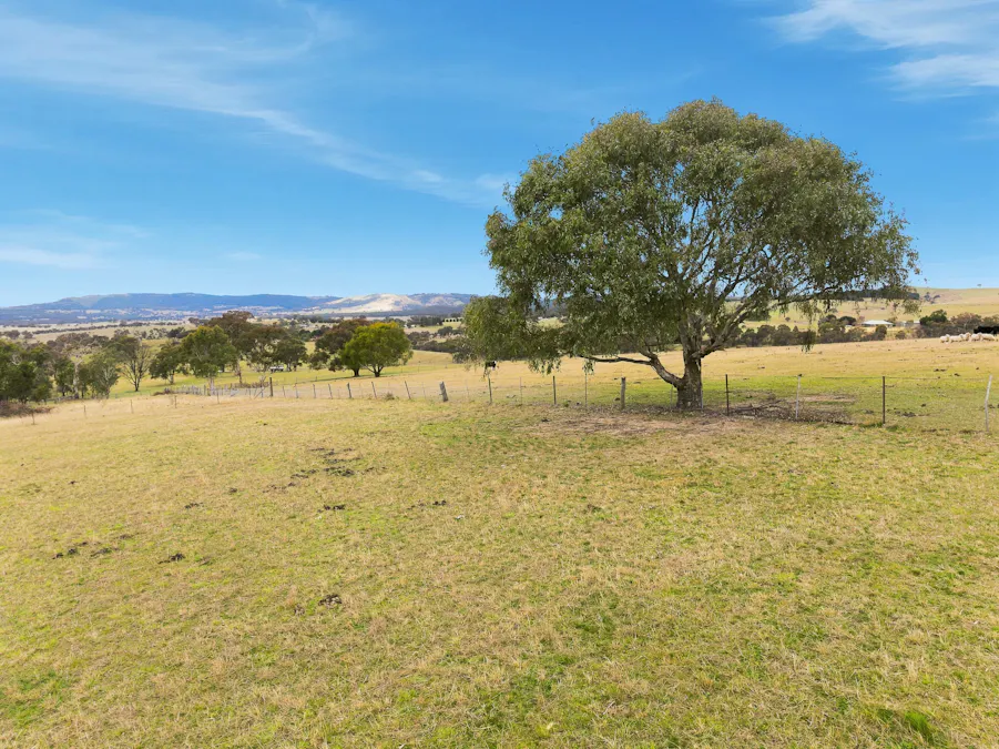 390 Bloom Hill Road, O'connell, NSW, 2795 - Image 24