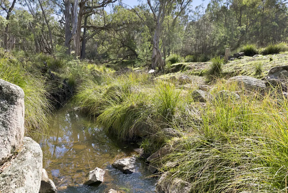 Lot 28, 279A Cobb Drive, Woodstock, NSW, 2793 - Image 12