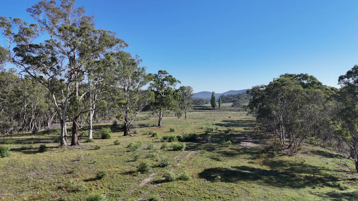 Lot 13 Rydal Road, Mount Lambie, NSW, 2790 - Image 4