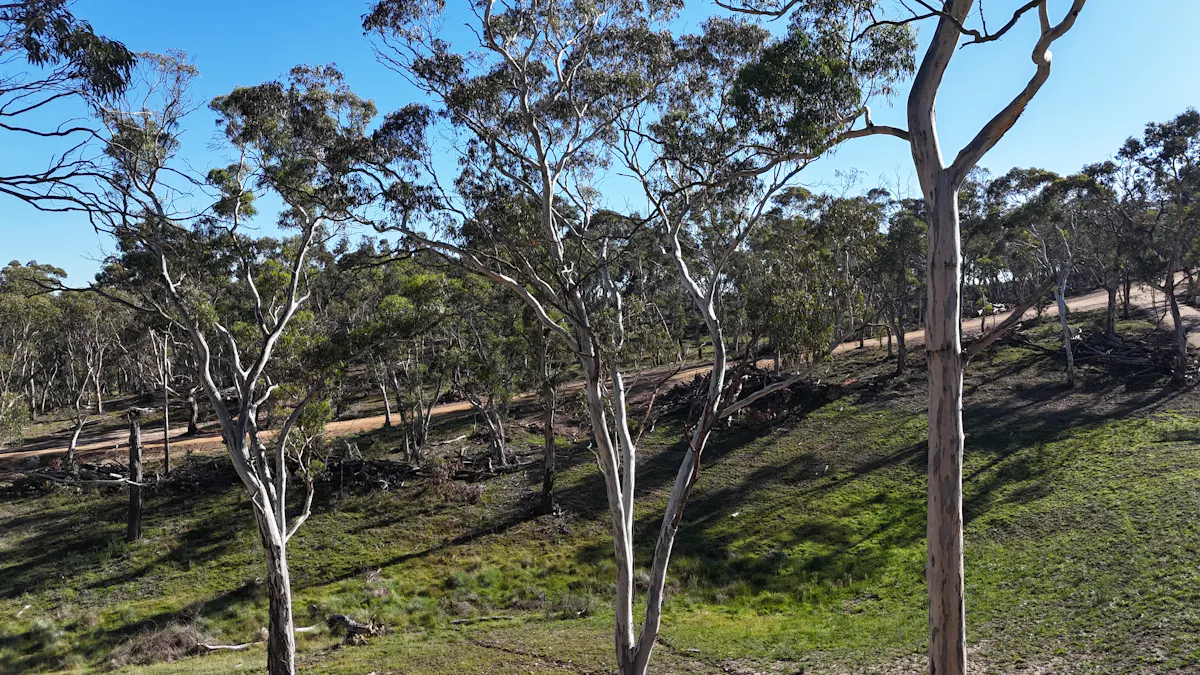 Lot 13 Rydal Road, Mount Lambie, NSW, 2790 - Image 10