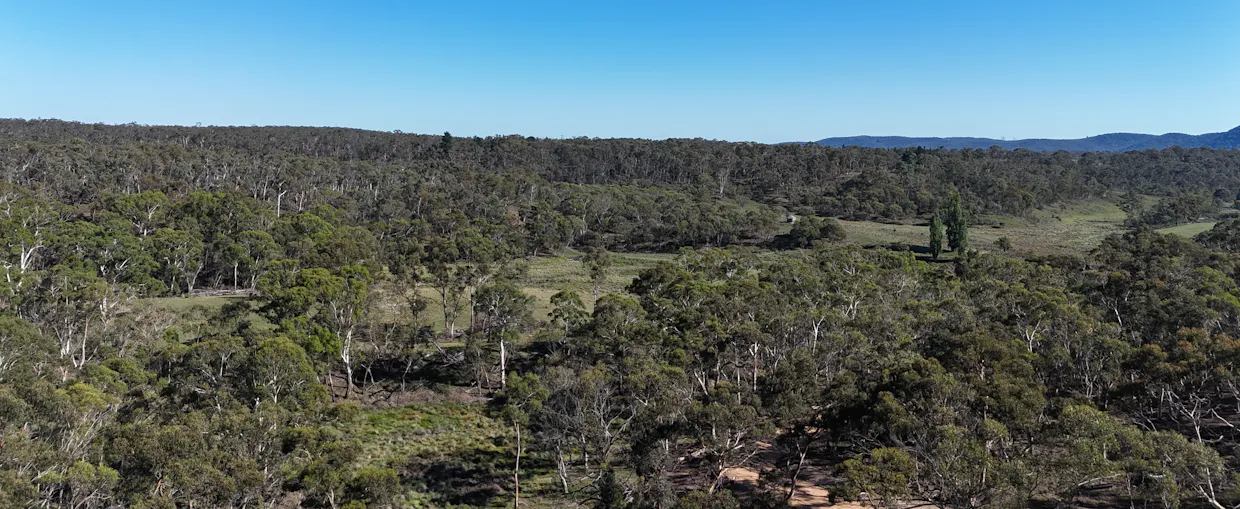 Lot 13 Rydal Road, Mount Lambie, NSW, 2790 - Image 6