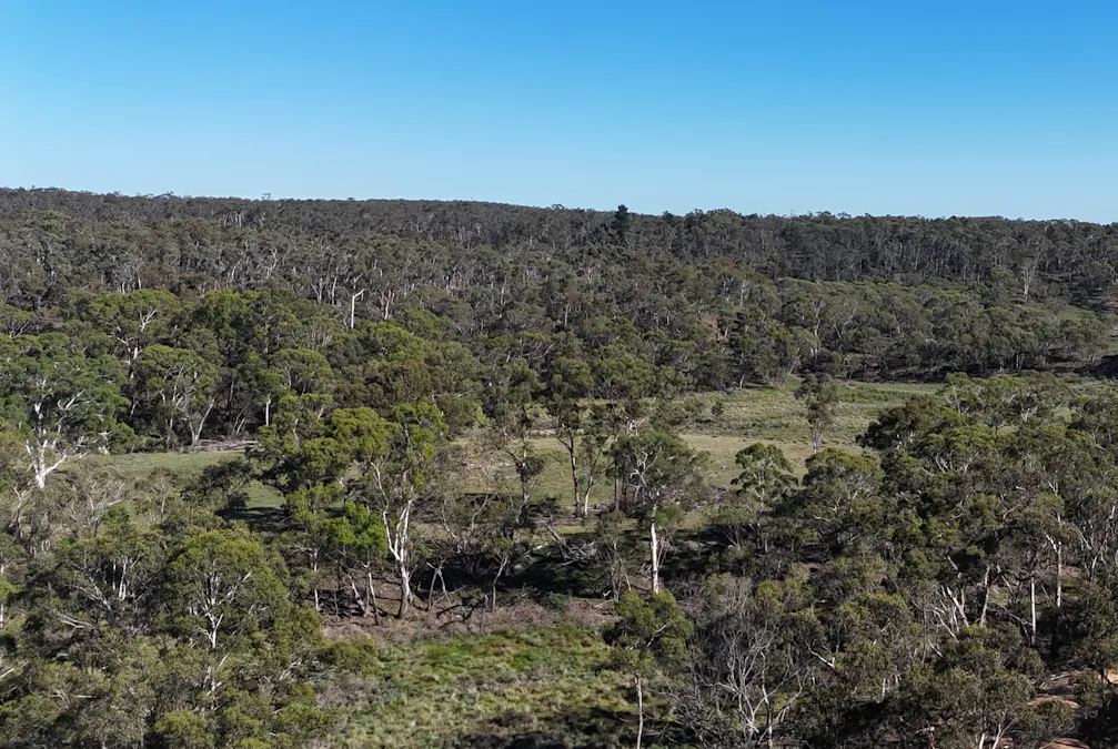 Lot 13 Rydal Road, Mount Lambie, NSW, 2790 - Image 7