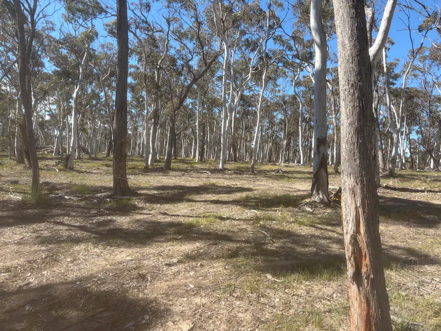 Lot 13 Rydal Road, Mount Lambie, NSW, 2790 - Image 9