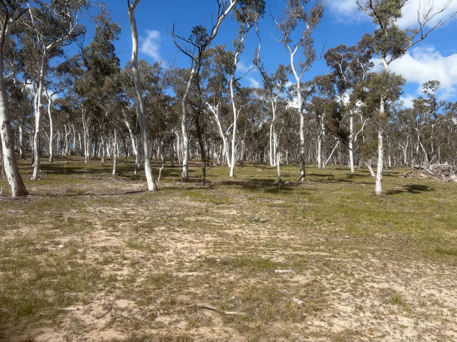 Lot 13 Rydal Road, Mount Lambie, NSW, 2790 - Image 11