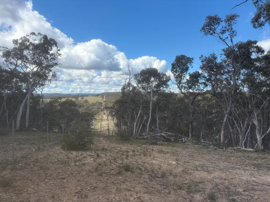 Lot 13 Rydal Road, Mount Lambie, NSW, 2790 - Image 12