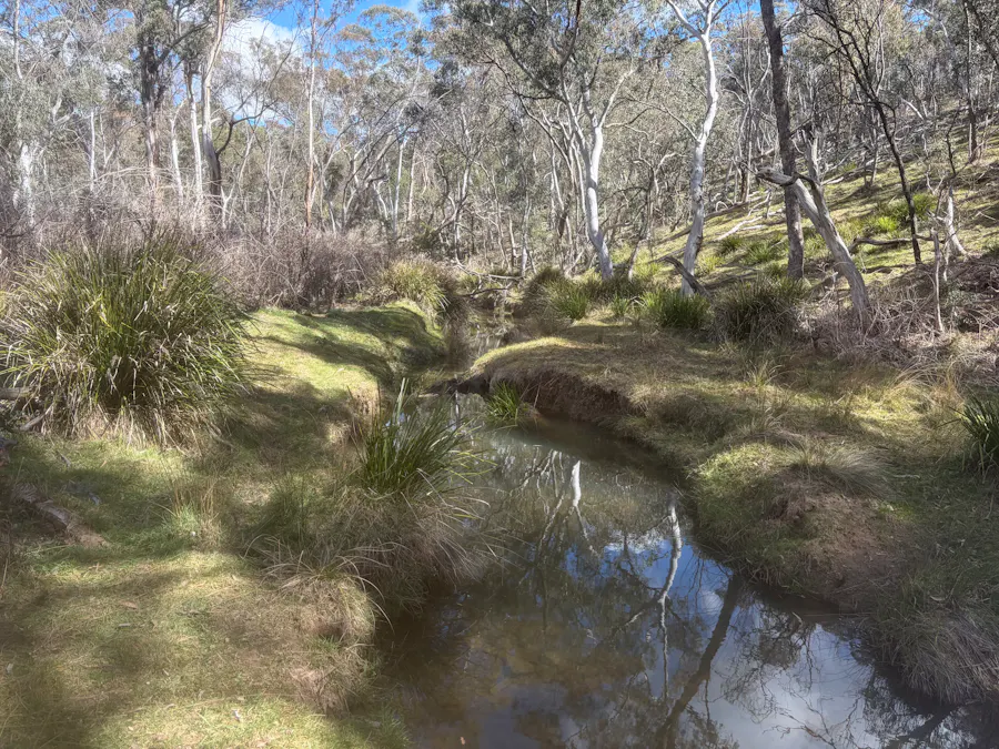 Lot 13 Rydal Road, Mount Lambie, NSW, 2790 - Image 14