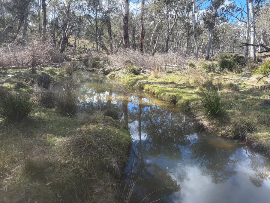 Lot 13 Rydal Road, Mount Lambie, NSW, 2790 - Image 15