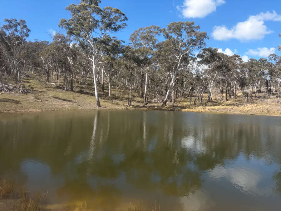 Lot 13 Rydal Road, Mount Lambie, NSW, 2790 - Image 3