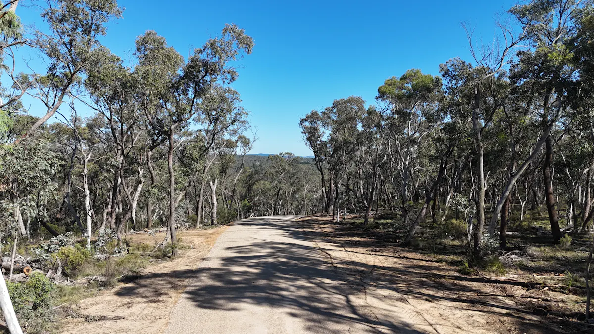 Lot 13 Rydal Road, Mount Lambie, NSW, 2790 - Image 16