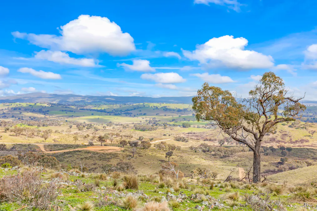 1092 Gowan Road, Lower Lewis Ponds, NSW, 2800 - Image 1