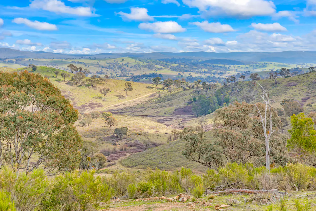 1092 Gowan Road, Lower Lewis Ponds, NSW, 2800 - Image 9