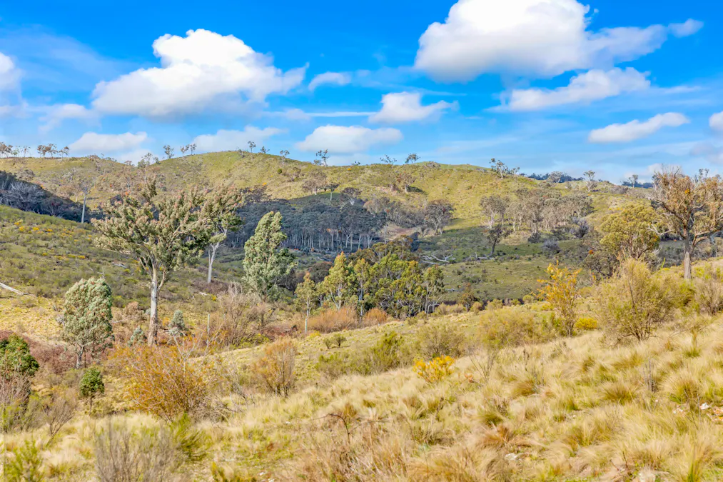 1092 Gowan Road, Lower Lewis Ponds, NSW, 2800 - Image 10