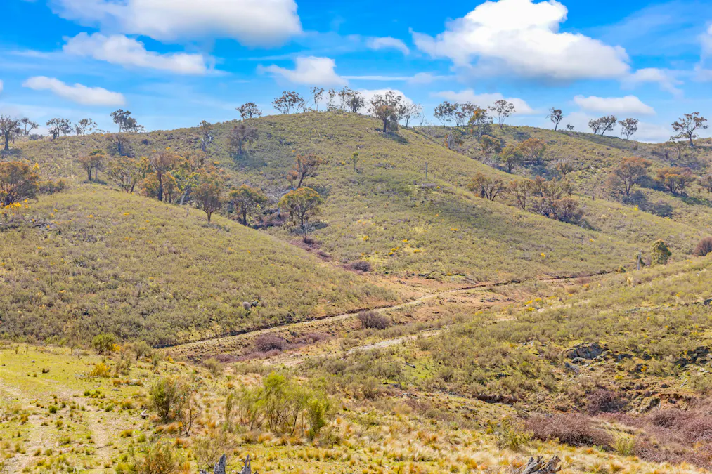 1092 Gowan Road, Lower Lewis Ponds, NSW, 2800 - Image 11