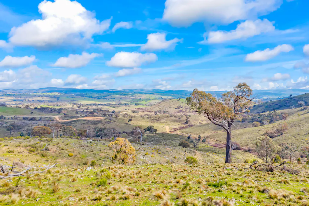 1092 Gowan Road, Lower Lewis Ponds, NSW, 2800 - Image 23