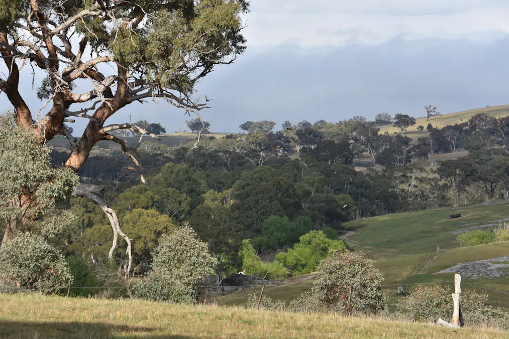 1414 Mid Western Highway, Bathurst, NSW, 2795 - Image 23
