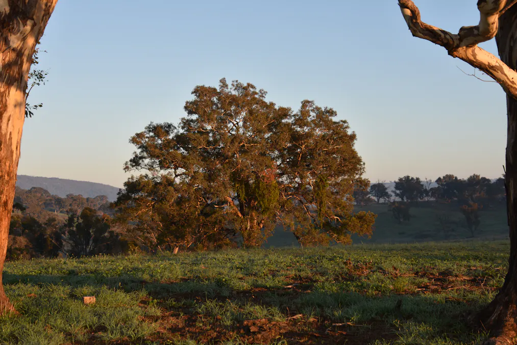 1414 Mid Western Highway, Bathurst, NSW, 2795 - Image 7
