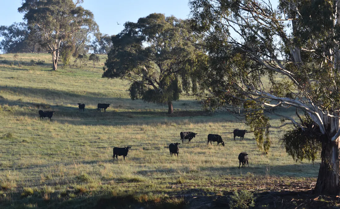 1414 Mid Western Highway, Bathurst, NSW, 2795 - Image 24