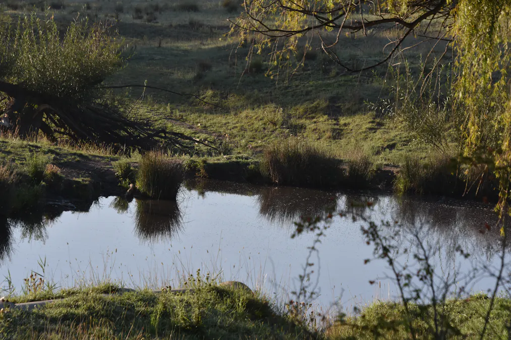 1414 Mid Western Highway, Bathurst, NSW, 2795 - Image 8
