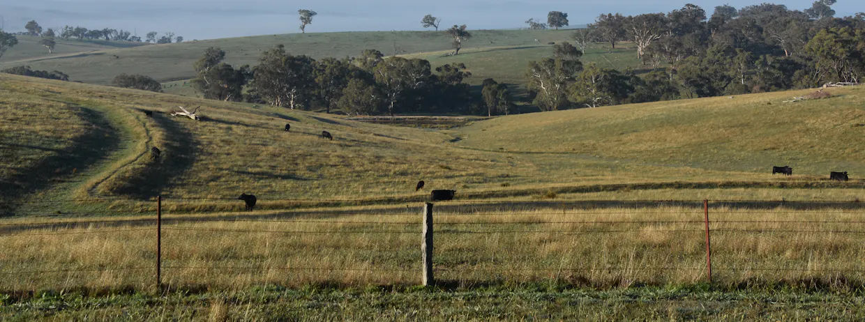 1414 Mid Western Highway, Bathurst, NSW, 2795 - Image 25