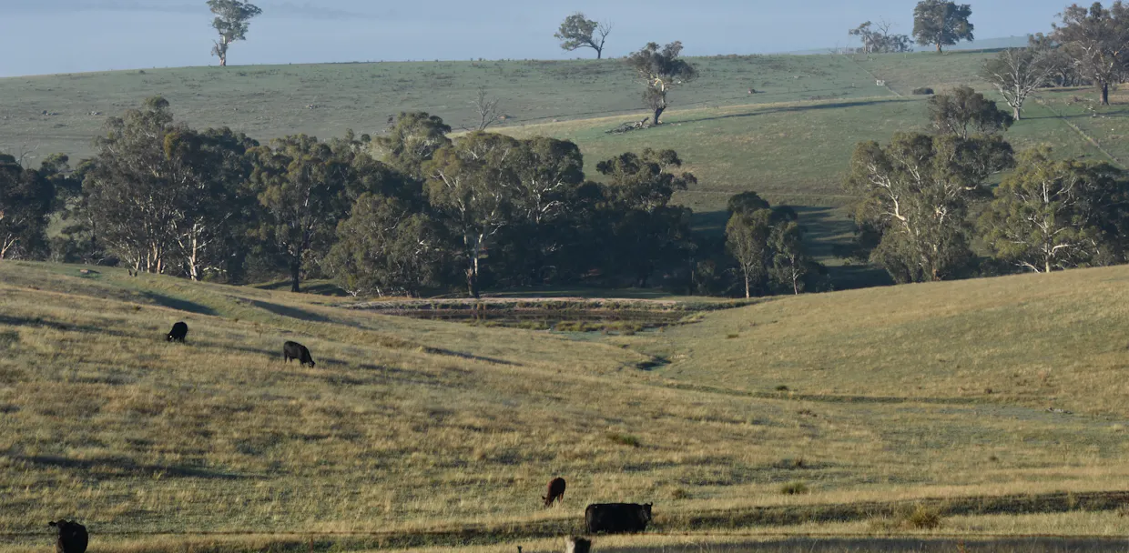 1414 Mid Western Highway, Bathurst, NSW, 2795 - Image 26