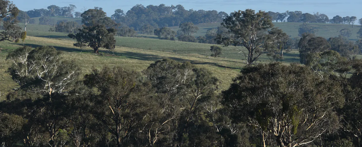 1414 Mid Western Highway, Bathurst, NSW, 2795 - Image 28