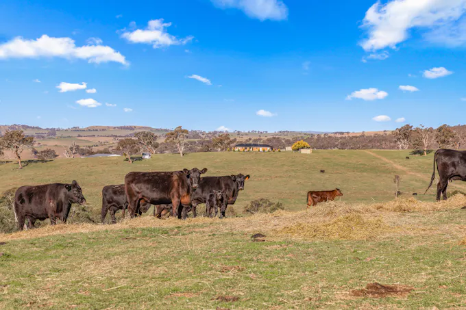 1414 Mid Western Highway, Bathurst, NSW, 2795