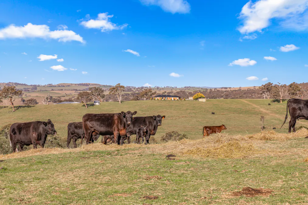 1414 Mid Western Highway, Bathurst, NSW, 2795 - Image 1