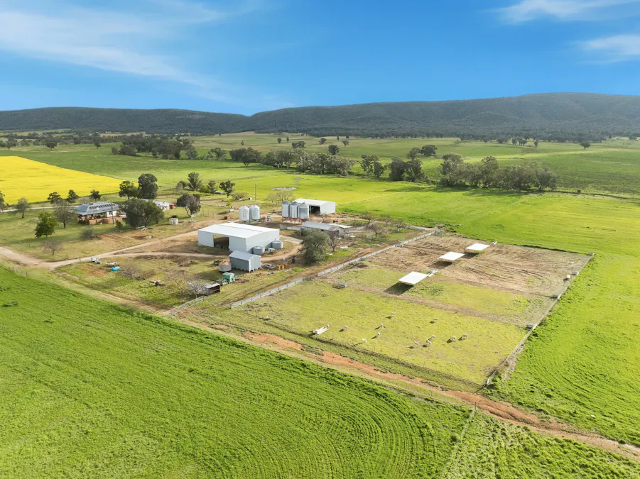 697 Tallarook Road, Cowra, NSW, 2794 - Image 21