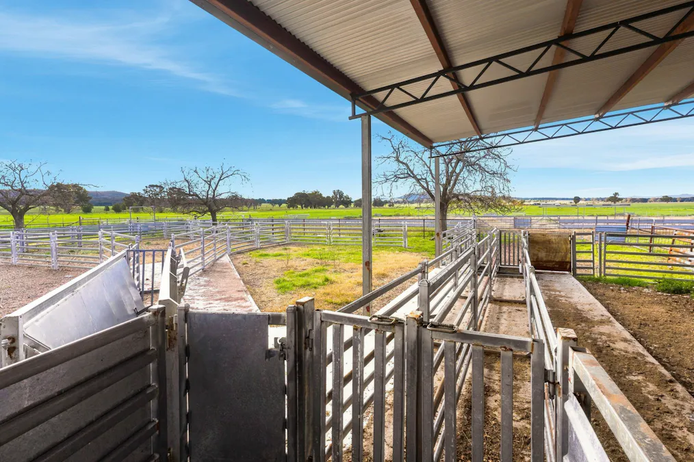 697 Tallarook Road, Cowra, NSW, 2794 - Image 22