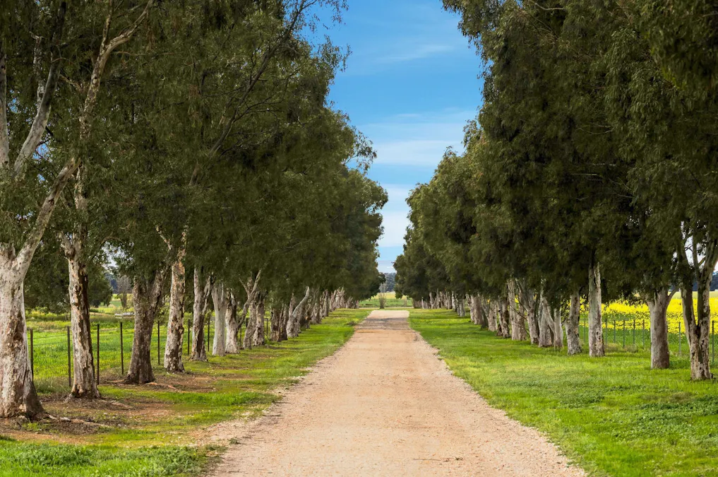 697 Tallarook Road, Cowra, NSW, 2794 - Image 25