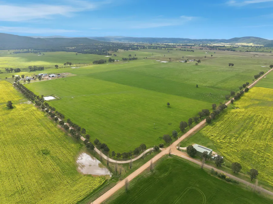 697 Tallarook Road, Cowra, NSW, 2794 - Image 2
