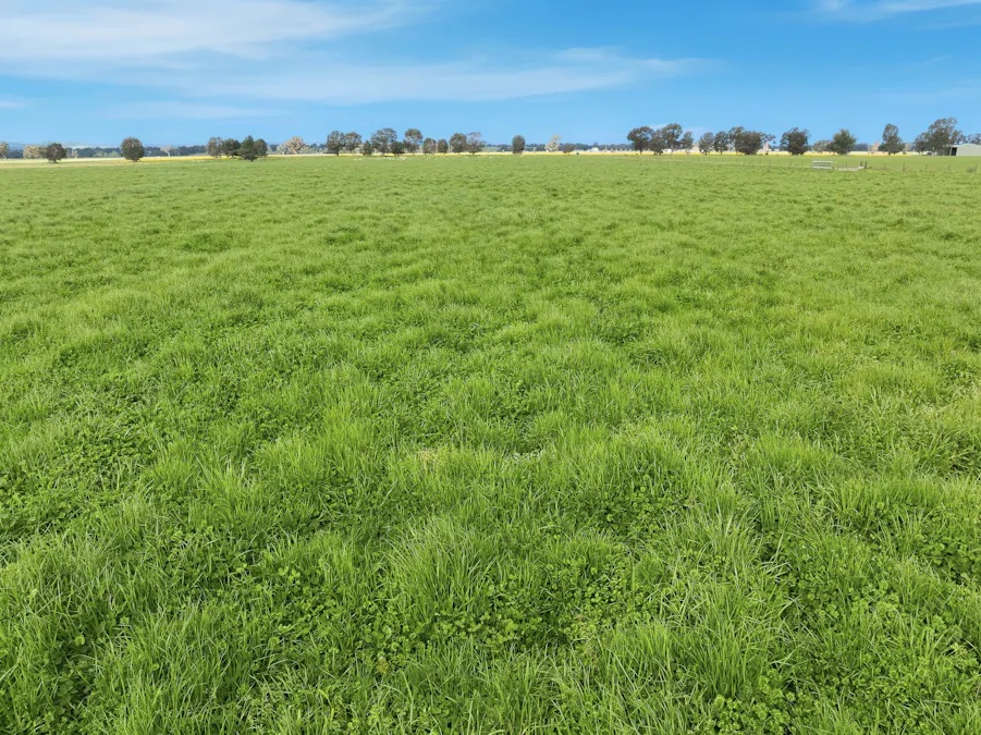 697 Tallarook Road, Cowra, NSW, 2794 - Image 3