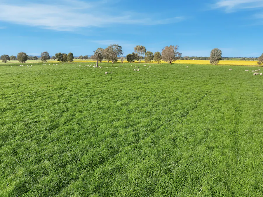 697 Tallarook Road, Cowra, NSW, 2794 - Image 18