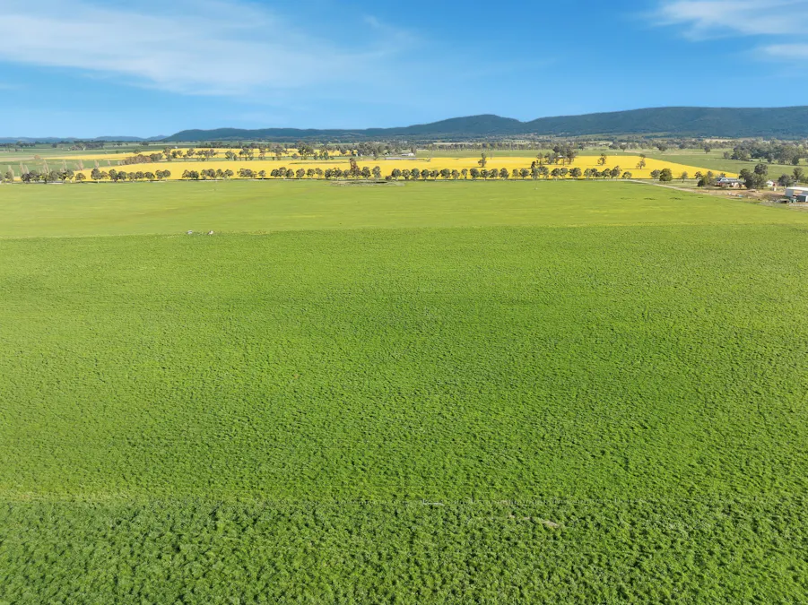 697 Tallarook Road, Cowra, NSW, 2794 - Image 19